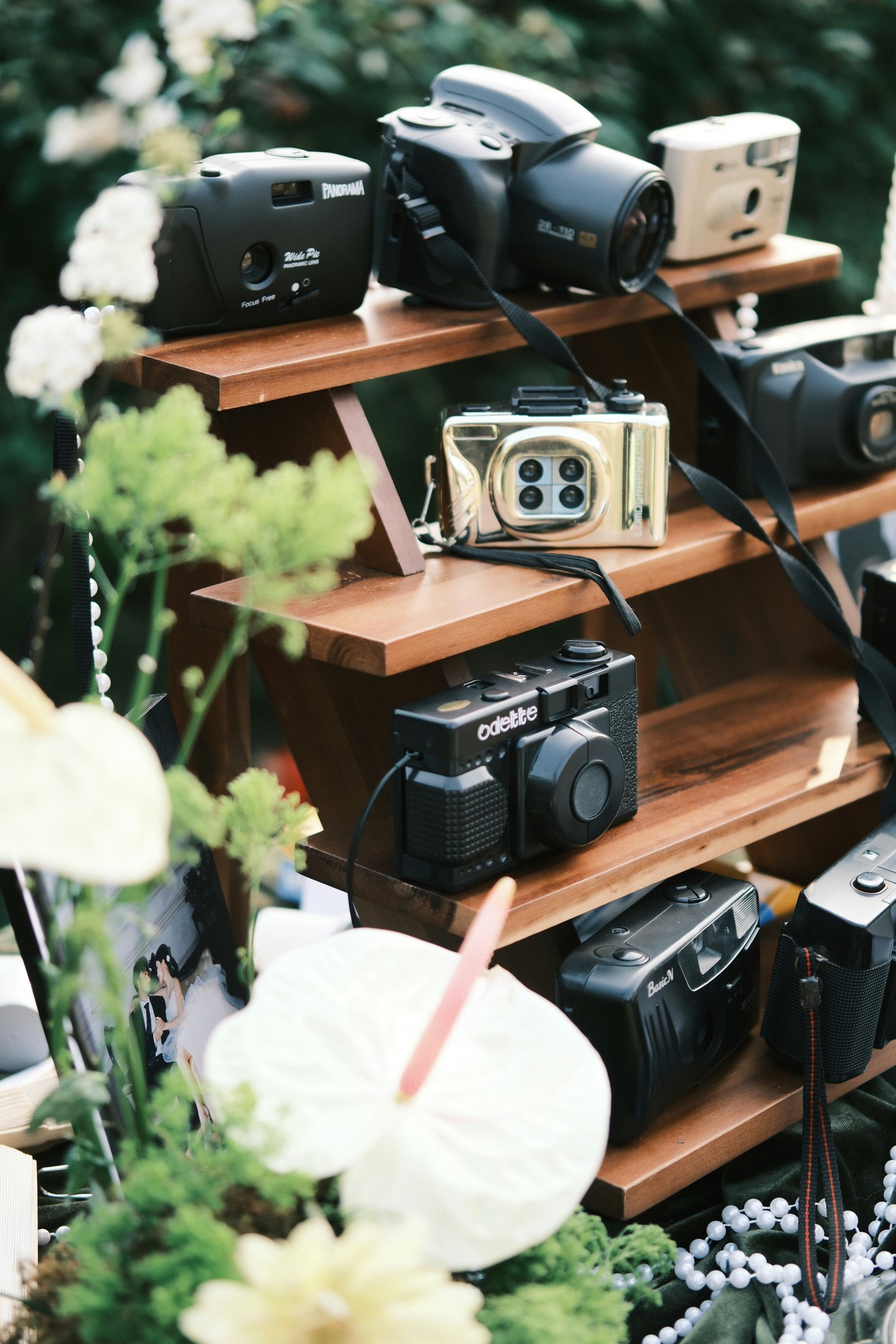 Wedding photographer